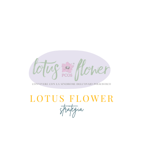 vera prada portfolio